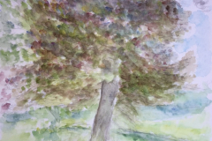 09